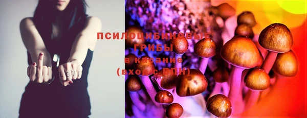 стаф Медвежьегорск