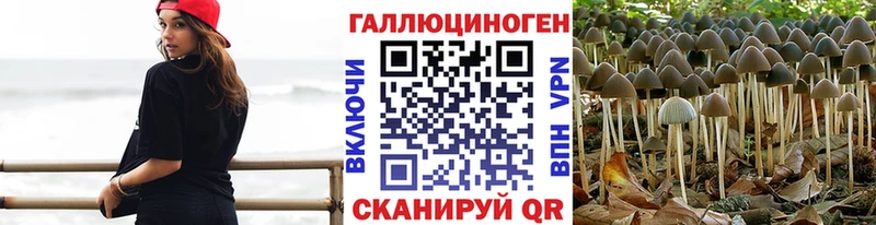 Псилоцибиновые грибы прущие грибы  mega рабочий сайт  Отрадное  купить наркотик 