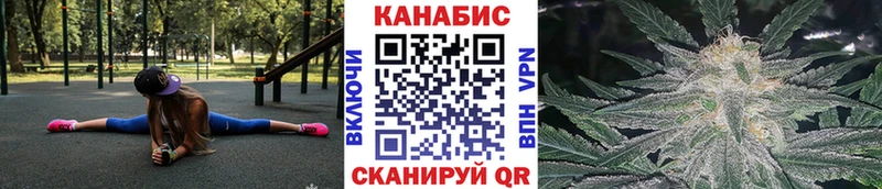 наркота  Отрадное  Шишки марихуана сатива 